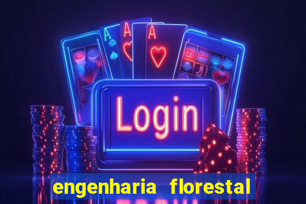 engenharia florestal ead cruzeiro do sul